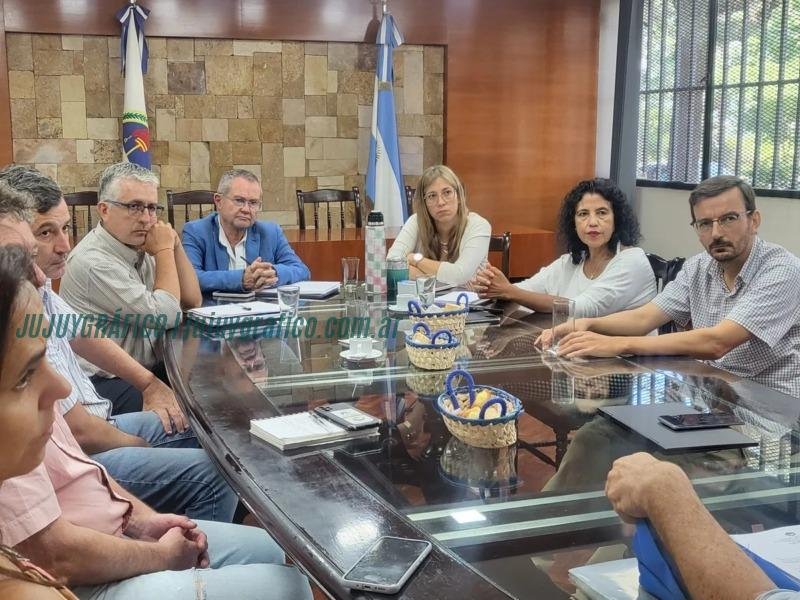 Optimización del Servicio Eléctrico en Jujuy, Medidas para el Sector Tabacalero 2 Optimización del Servicio Eléctrico en Jujuy, Medidas para el Sector Tabacalero 2